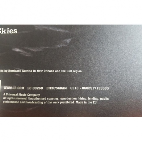 U2 - 18 Singles (0602517135505) виниловая пластинка - фото 21