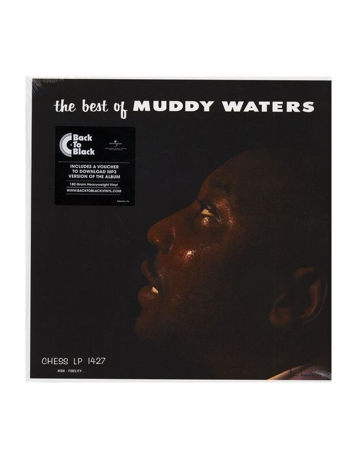 Виниловая пластинка Muddy Waters, The Best Of (0602557723250)