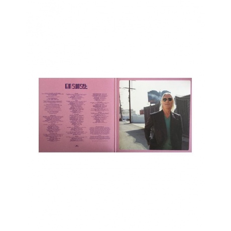 Виниловая пластинка Paul Weller, On Sunset (0602508598579) - фото 14