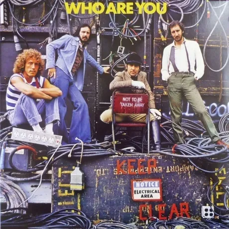 The Who - Who Are You (0602537156306) виниловая пластинка