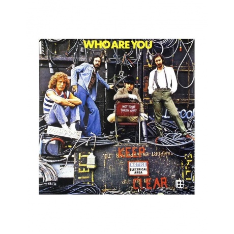Виниловая пластинка The Who, Who Are You (0602537156306) - фото 1