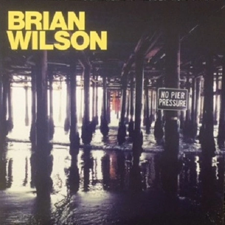 Brian Wilson, No Pier Pressure (0602537918959) виниловая пластин...