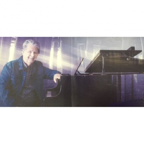 Brian Wilson, No Pier Pressure (0602537918959) виниловая пластинка - фото 3