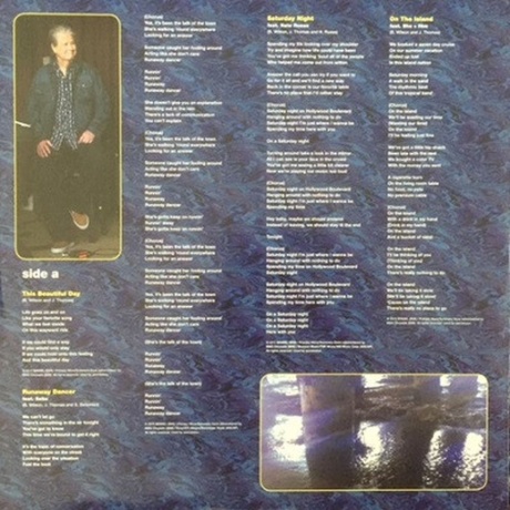 Brian Wilson, No Pier Pressure (0602537918959) виниловая пластинка - фото 4