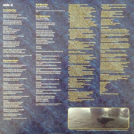 Brian Wilson, No Pier Pressure (0602537918959) виниловая пластинка - фото 7