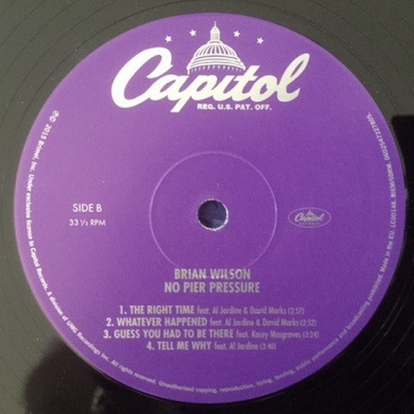 Brian Wilson, No Pier Pressure (0602537918959) виниловая пластинка - фото 10