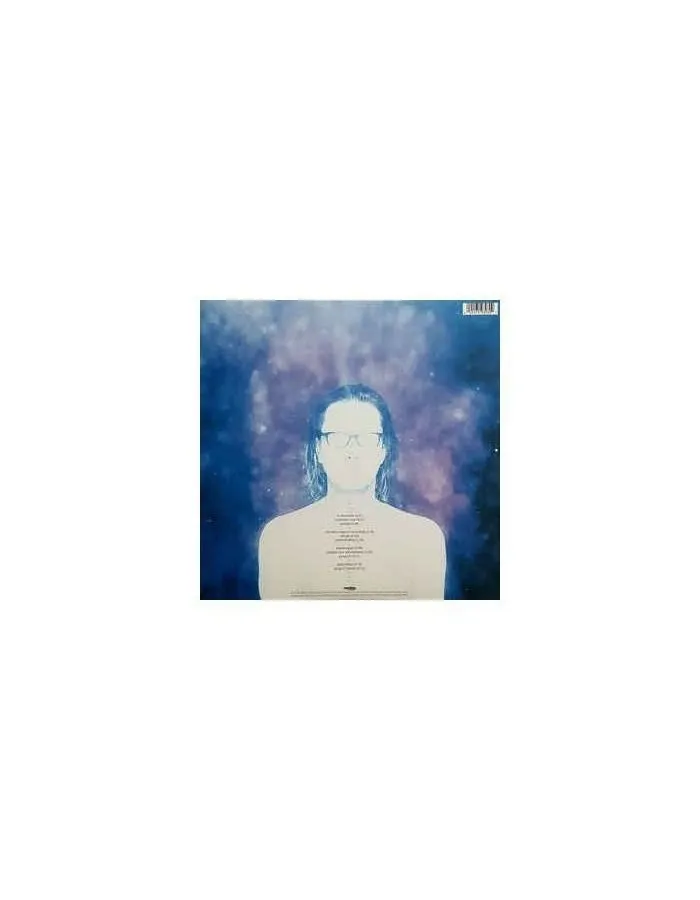 Виниловая пластинка Steven Wilson, To The Bone (0602557593037) - фото 7