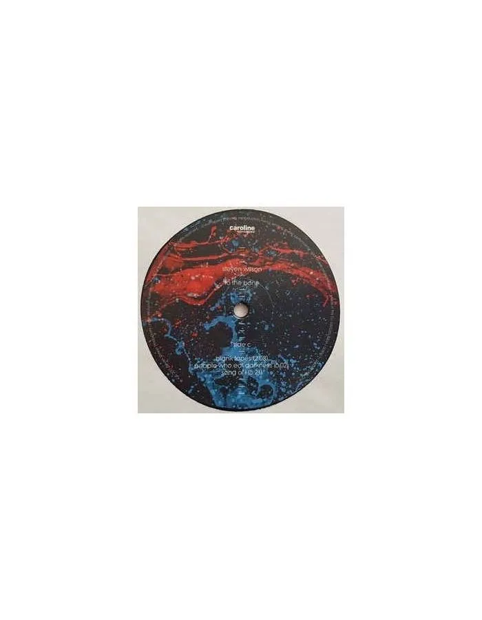Виниловая пластинка Steven Wilson, To The Bone (0602557593037) - фото 10