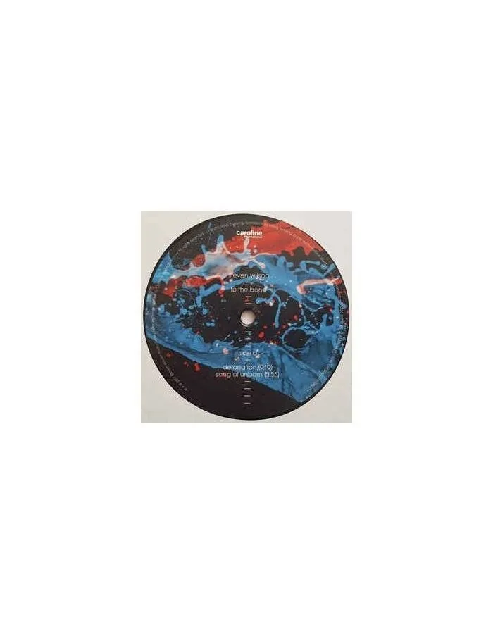 Виниловая пластинка Steven Wilson, To The Bone (0602557593037) - фото 11