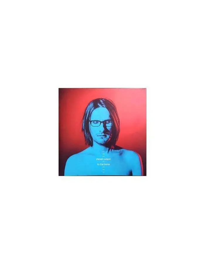 Виниловая пластинка Steven Wilson, To The Bone (0602557593037) - фото 1