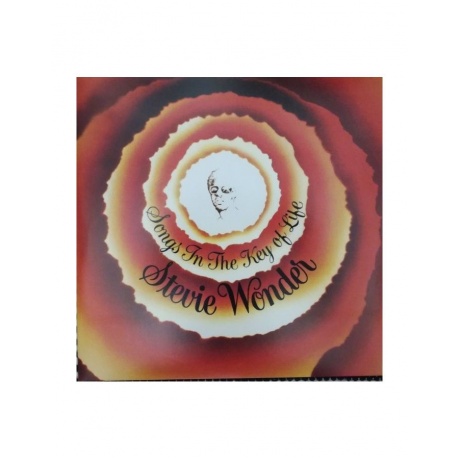 Виниловая пластинка Stevie Wonder, Songs In The Key Of Life (0600753164228) - фото 1