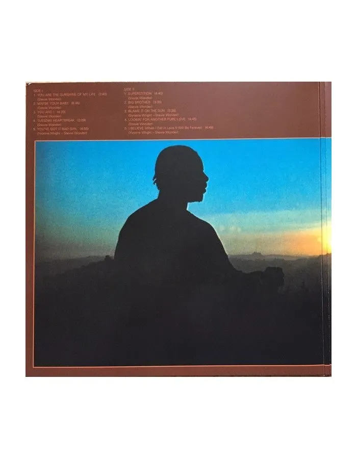 Виниловая пластинка Stevie Wonder, Talking Book (0602557097566) - фото 4