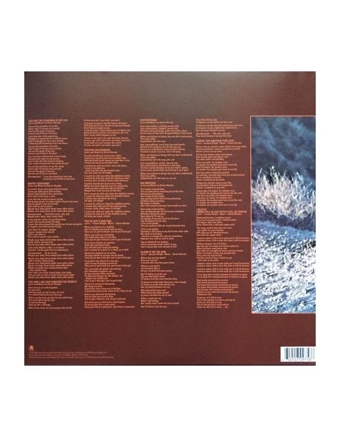 Виниловая пластинка Stevie Wonder, Talking Book (0602557097566) - фото 6