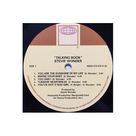Виниловая пластинка Stevie Wonder, Talking Book (0602557097566) - фото 7