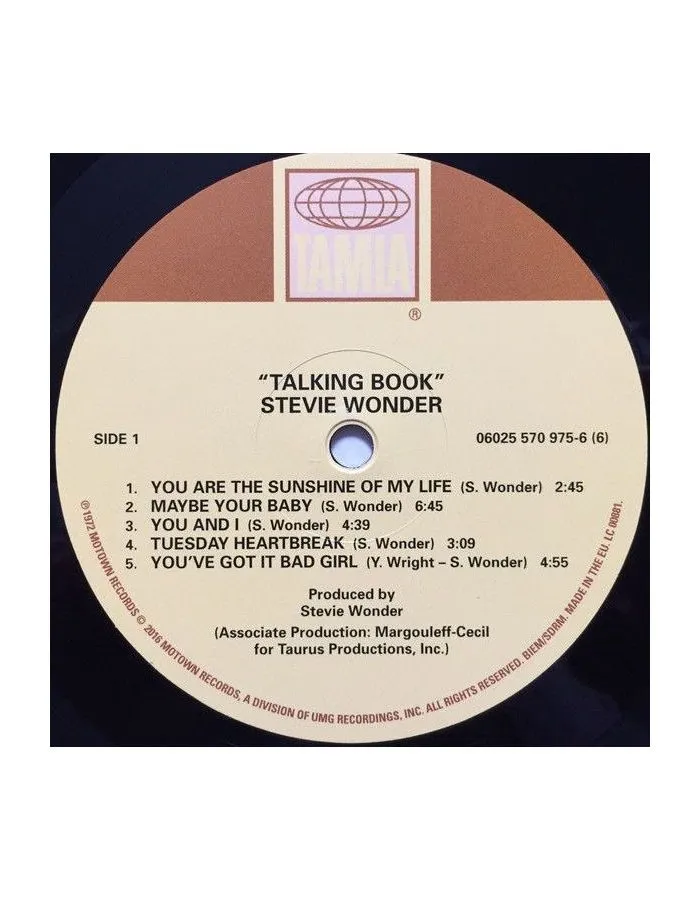 Виниловая пластинка Stevie Wonder, Talking Book (0602557097566) - фото 7