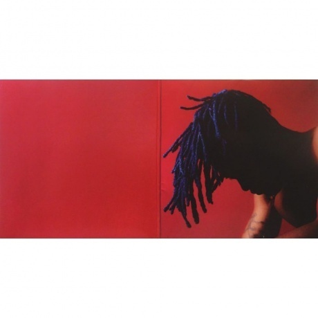 Xxxtentacion - ? (0842812106729) виниловая пластинка - фото 2