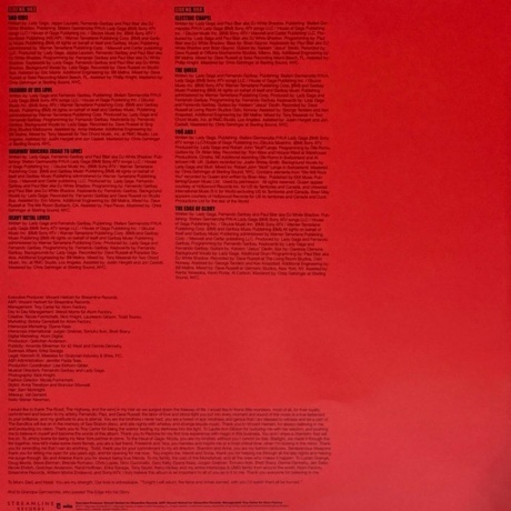 Lady GaGa - Born This Way (0602527641263) виниловая пластинка - фото 11