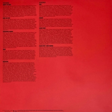 Lady GaGa - Born This Way (0602527641263) виниловая пластинка - фото 9