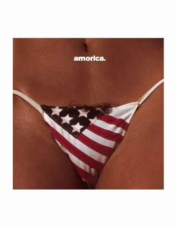 The Black Crowes - Amorica (0602537494231) виниловая пластинка