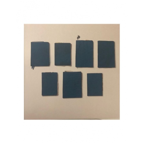 Виниловая пластинка Richter Max, The Blue Notebooks (0028948352593) - фото 4