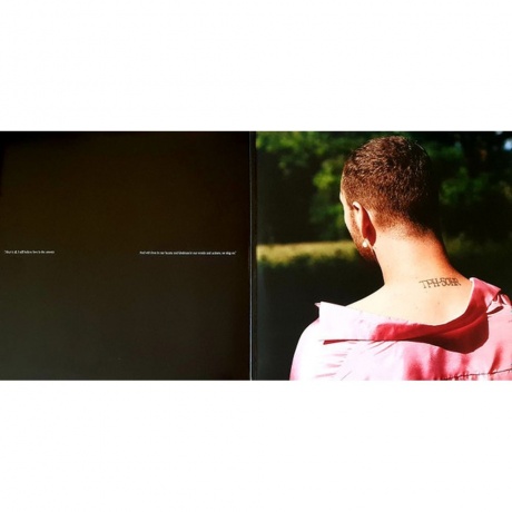 Sam Smith - Love Goes (0602507378196) виниловая пластинка - фото 3