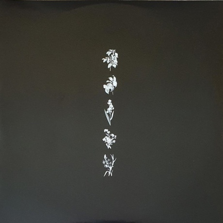 Sam Smith - Love Goes (0602507378196) виниловая пластинка - фото 8