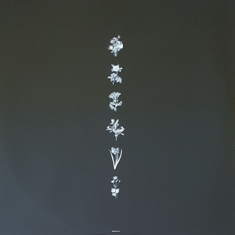 Sam Smith - Love Goes (0602507378196) виниловая пластинка - фото 9