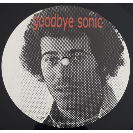 Sonic Youth - Rather Ripped (0602547491831) виниловая пластинка - фото 9