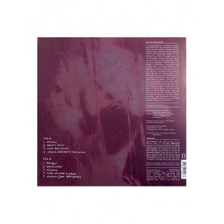 Sam Amidon - Sam Amidon (coloured) (0075597919233) виниловая пластинка - фото 2