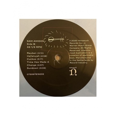 Sam Amidon - Sam Amidon (coloured) (0075597919233) виниловая пластинка - фото 4