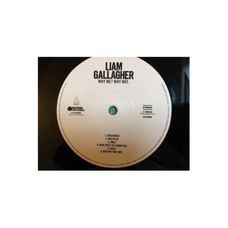 0190295408411, Виниловая Пластинка Gallagher, Liam, Why Me? Why Not. - фото 4