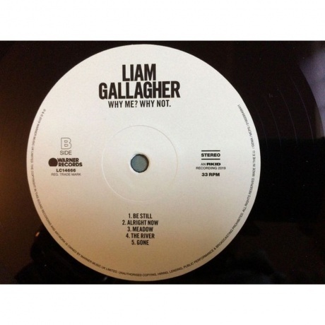 Liam Gallagher - Why Me? Why Not. (0190295408411) виниловая пластинка - фото 5