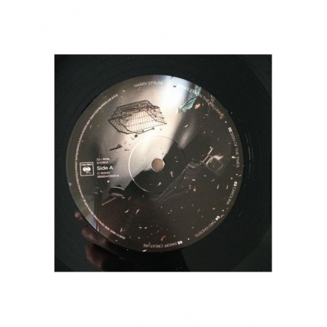 0889854390310, Styles, Harry, Harry Styles виниловая пластинка - фото 3