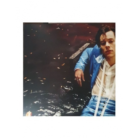 0889854390310, Styles, Harry, Harry Styles виниловая пластинка - фото 4