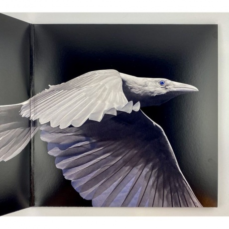 0194397247114, Wardruna, Kvitravn виниловая пластинка - фото 4