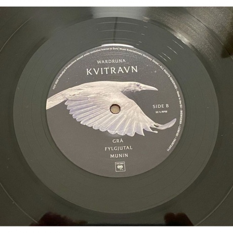 0194397247114, Wardruna, Kvitravn виниловая пластинка - фото 6