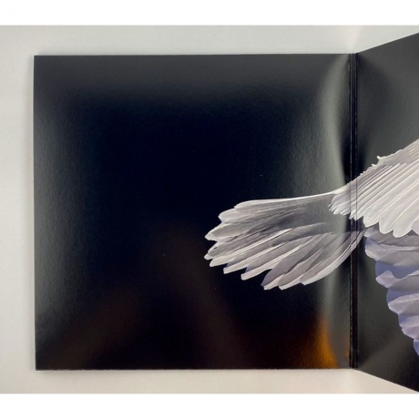 Wardruna - Kvitravn (0194397247114) виниловая пластинка - фото 3