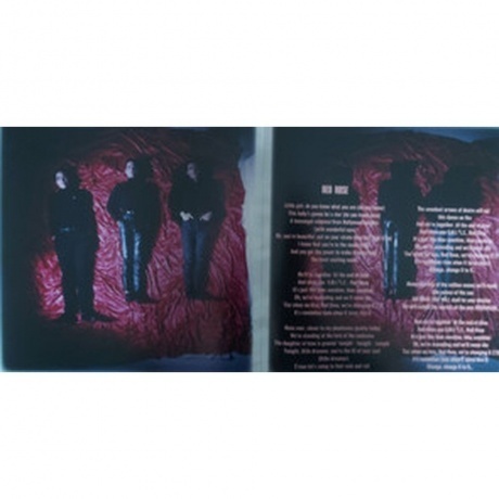 Alphaville - Afternoons In Utopia (0190295065751) виниловая пластинка - фото 12