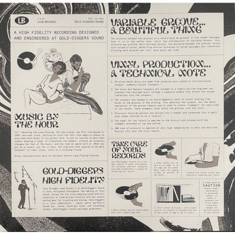 Leon Bridges - Gold-Diggers Sound (0194398869919) виниловая пластинка - фото 5