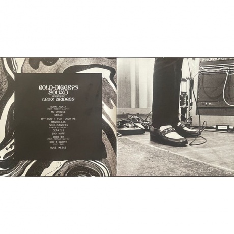 Leon Bridges - Gold-Diggers Sound (0194398869919) виниловая пластинка - фото 8