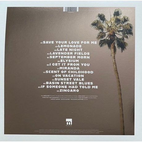 Till Bronner; Bob James - On Vacation (0194397001211) виниловая пластинка - фото 3