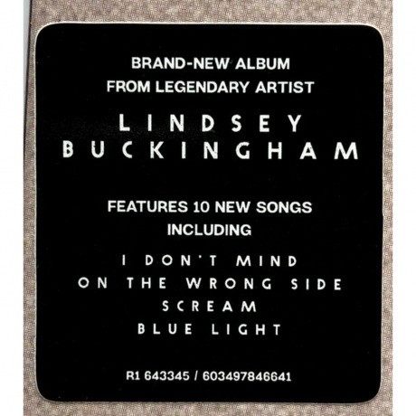 Lindsey Buckingham - Lindsey Buckingham (0603497846641) виниловая пластинка - фото 7