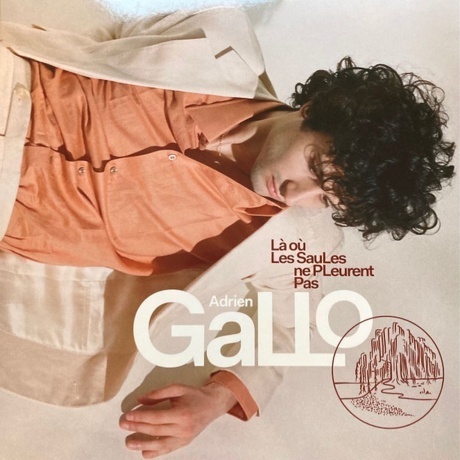 

Adrien Gallo - La Ou Les Saules Ne Pleurent Pas (0190295054588) виниловая пластинка