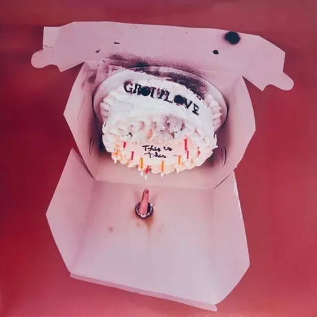 Grouplove - This Is This (0075678644283) виниловая пластинка