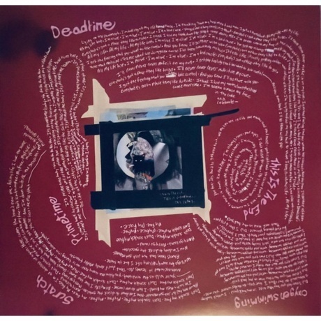 Grouplove - This Is This (0075678644283) виниловая пластинка - фото 9