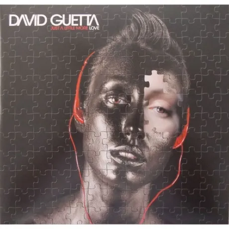 David Guetta - Just A Little More Love (0724381249215) виниловая...