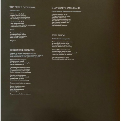 Hackett Steve - Surrender of Silence (0194398750811) виниловая пластинка - фото 12