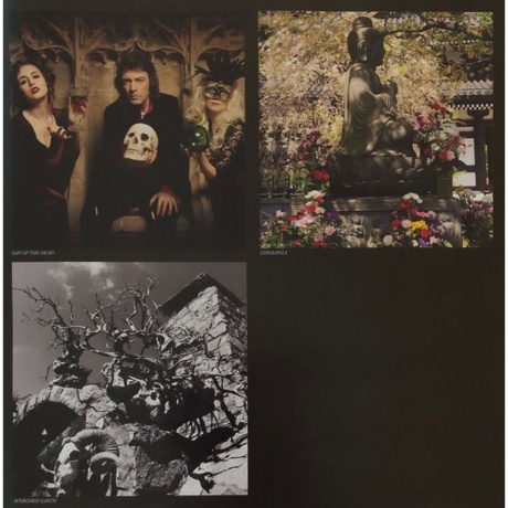 Hackett Steve - Surrender of Silence (0194398750811) виниловая пластинка - фото 15