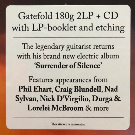 Hackett Steve - Surrender of Silence (0194398750811) виниловая пластинка - фото 17