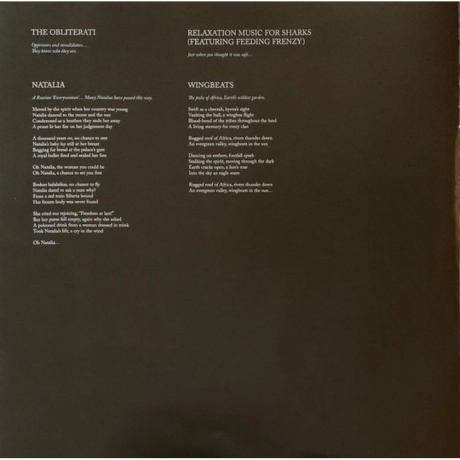 Hackett Steve - Surrender of Silence (0194398750811) виниловая пластинка - фото 10